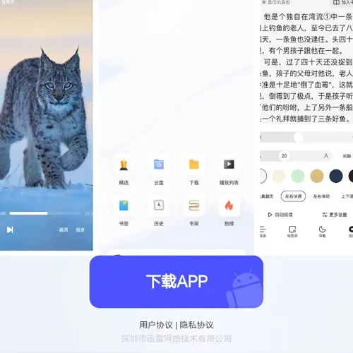 安装迅雷浏览器